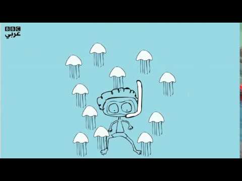 ماذا تفعل لو لسعك قنديل البحر