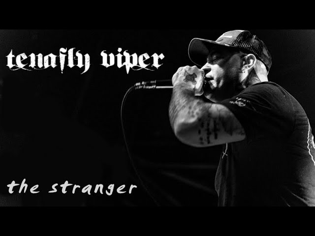 Tenafly Viper - The Stranger Lyric Video