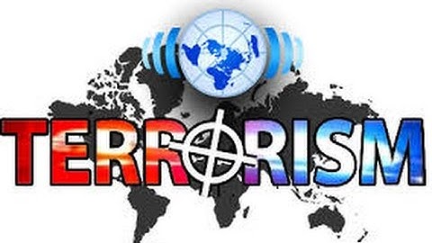 The 2NC (Second Negative Constructive)