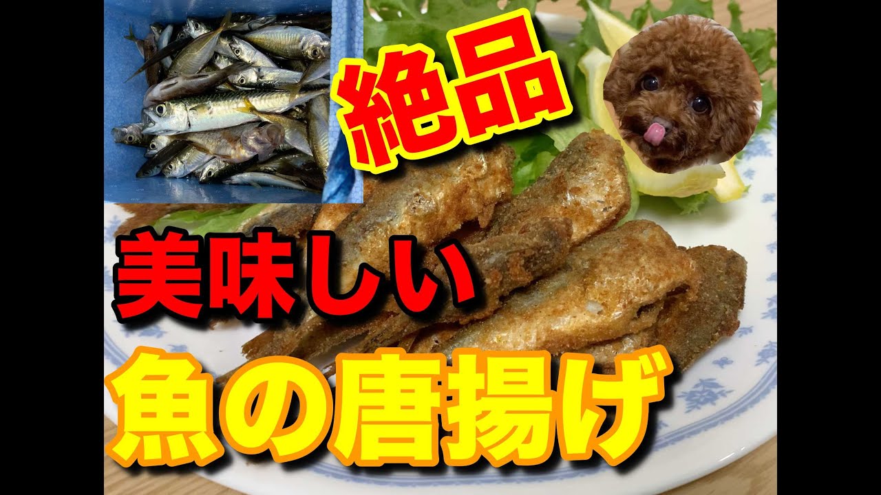 絶品 魚の唐揚げ サビキで釣れた美味しい魚を料理してみた サバ アジ メバル スズメダイ トイプードルのサラ Youtube