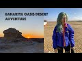 Bahariya Oasis Desert Camping Vlog - Egypt Trip