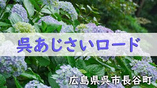 呉あじさいロード Youtube 呉あじさいロード Youtube