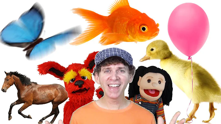 Colors Song | Learn 11 Colors with Real Objects | Learn English Kids