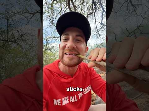 كيف تنظف هذه القبيلة الأفريقية أسنانها