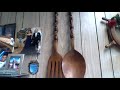 Vlog 2: Plants, Cards, and Giant Utensils?!