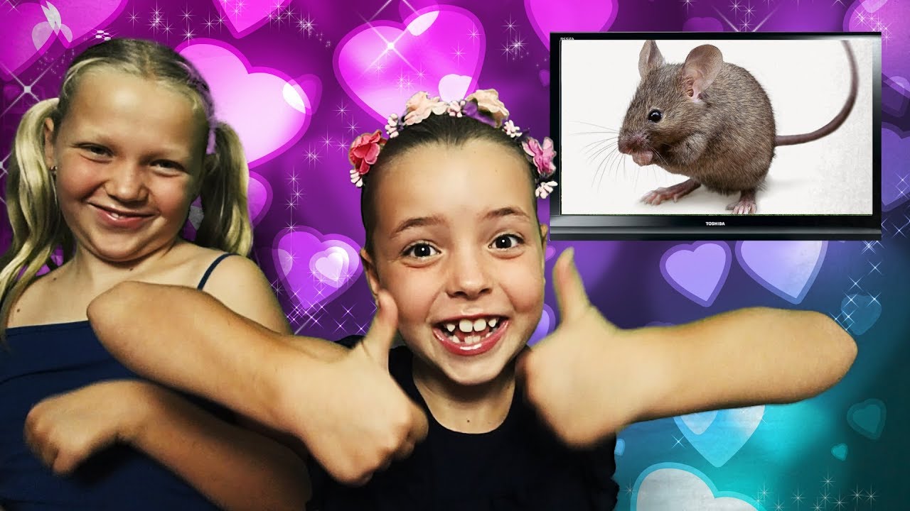 Een muis in huis! YouTube Een muis in huis! YouTube