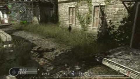 CoD4 TDM Overgrown (MP5)