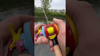 Tiny trout on the DC baitcaster ! These greedy fish #Baitcaster #fishingvideos #bfs #ulfishing