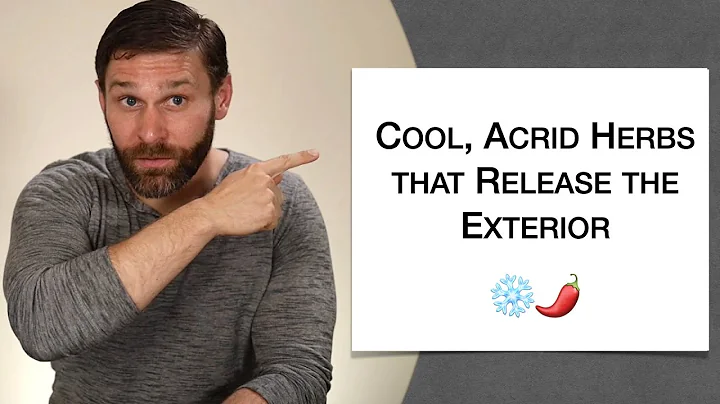 🌿 Herbology 1 Review - Cool Acrid Herbs that Release the Exterior (Extended Live Lecture)