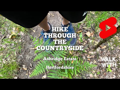 Hiking through the English countryside | Walk with Tim