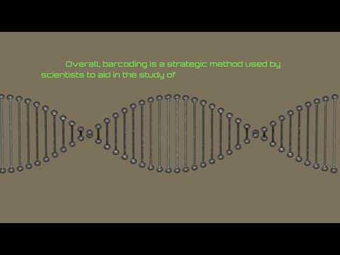 Video: Kotak Peralatan Barcoding CRISPR Yang Sentiasa Berubah