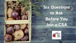 6 Questions to Ask Before You Join a CSA