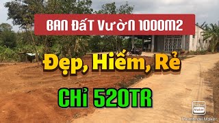 Bán Đất Vườn xã Bảo Bình Cẩm Mỹ, 1000 m2 đất đỏ bazan -  chỉ 520 triệu | Đã Bán