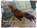 Batu Rantai