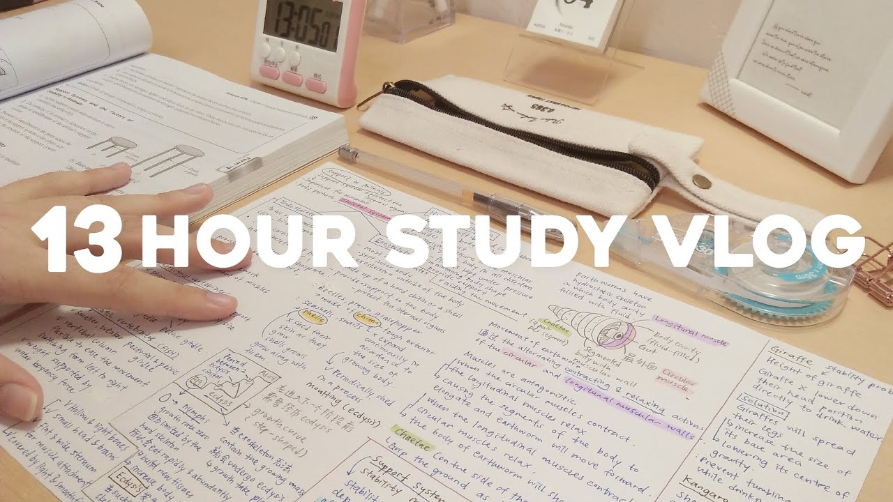 Study vlog, study timelapse, lots of studying