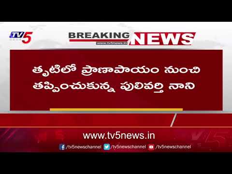 ప్రాణాపాయం నుంచి తప్పించుకున్న నాని : YCP Leaders Attack On Pulaparthi Nani | TV5 News - TV5NEWS