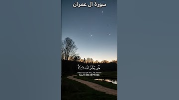 قراءة القرآن الكريم بصوت الشيخ ماهر المعيقلي #اكسبلور #المصحف #القرآن_الكريم #ماهر_المعيقلي #الرحمن