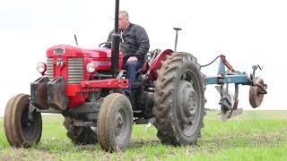 Massey Ferguson 65'ere - Veteran Pløjedag 2018 - Del 1