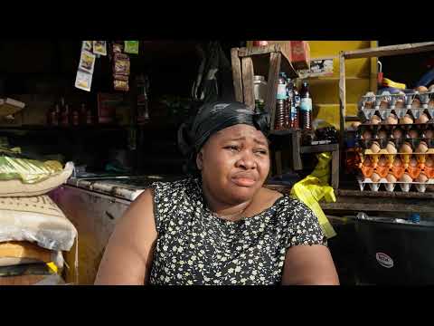 I Thought It Was Just a Freezer... Then My Business EXPLODED! (Koolbuy Review)