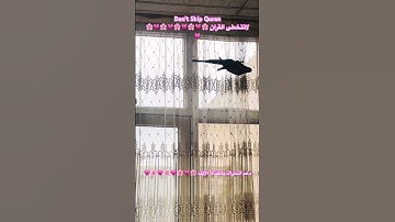 تلاوه عطره من الذكر الكريم #عبدالباسط_عبدالصمد #سورة_يس #اكسبلور #cutebird #birds #foryou