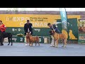 8.ª ECN Ponte de Lima - Grupo 1 a 10