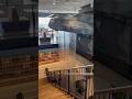Four story indoor waterfall in this office! #interiordesign #commercialrealestate
