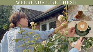 Early Autumn at the Cottage | Ep: 23 Renovation Update & Country Living
