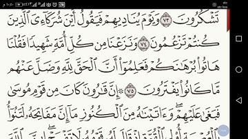 سورة القصص الآيات من ٧١ إلى ٨٠