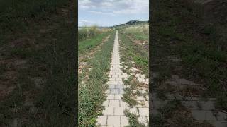 Природа берет своё: тропинка вместо плитки 🌿 When Nature Fights Back… and Wins