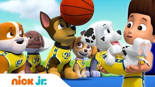 #мультики Щенячий патруль Щенки играют в баскетбол Nick Jr Россия