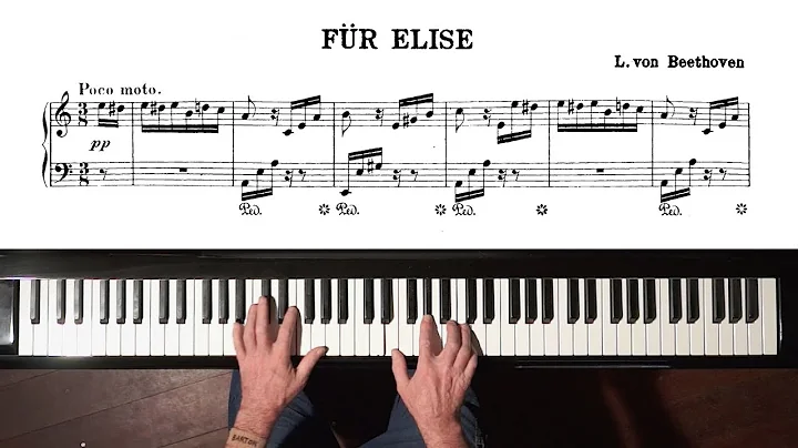 Beethoven Fr Elise Paul Barton, FEURICH 218 piano