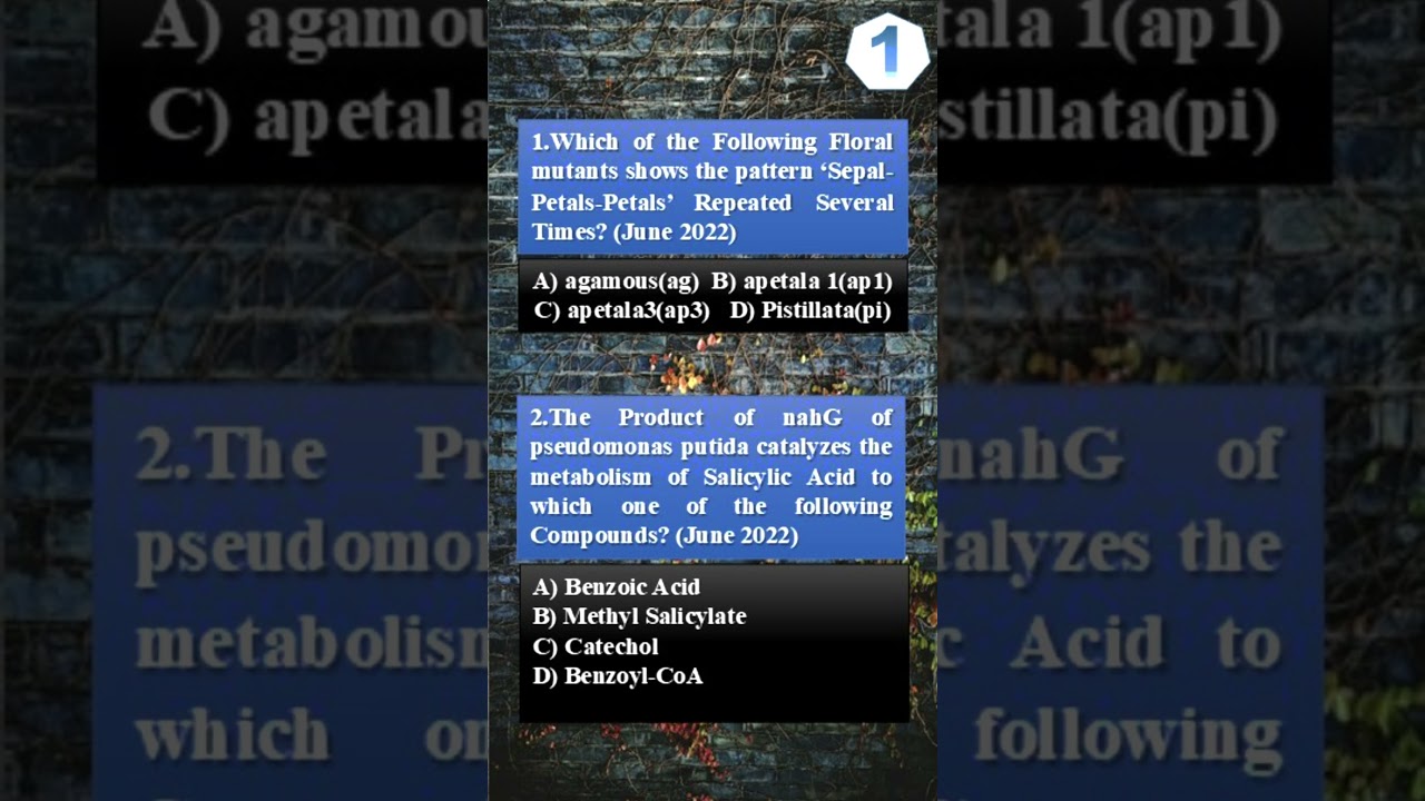 PLANT PHYSIOLOGY (PART 1) MCQ I Crack Your Exam I CSIR NET LIFE SCIENCE I 