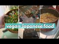 VEGAN JAPANESE FOOD recipes plus other random recipes (how to eat vegan in Japan) 🍛🍡🍙