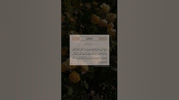 يا أيها الذين آمنوا اجتنبوا كثيراً من الظن إن بعض الظن إثم - سورة الحجرات رعد الكردي #سورة_الحجرات