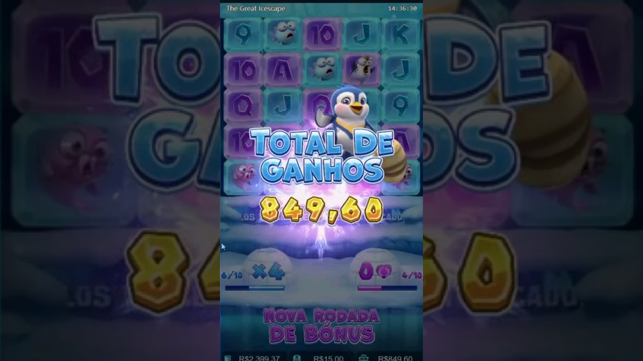 jogo do pinguim slot melhor horário｜Pesquisa do TikTok