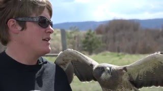 Nature's Educators Documentary