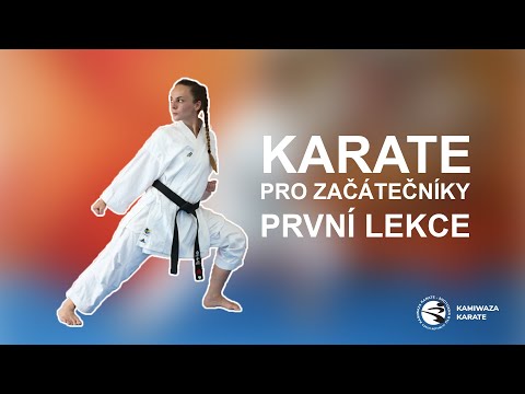 Video: Jak Si Vybrat Mezi Karate Nebo Judem