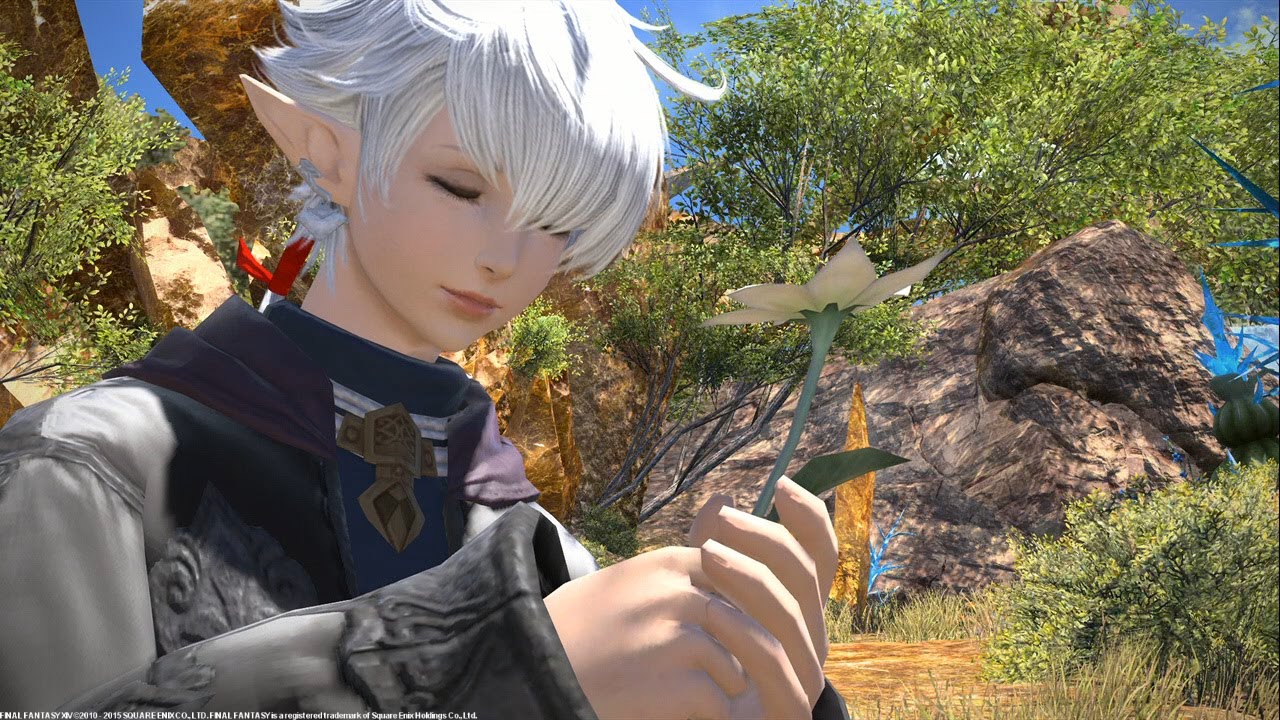 Final Fantasy XIV: A Realm Reborn (Video Game), Final Fantasy XIV (Video .....