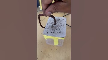 Magnetic field around a straight current carrying conductor