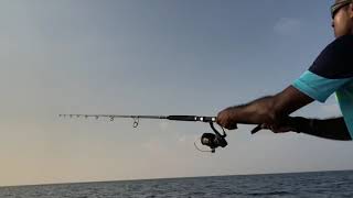 Fishing for GT in Maldives