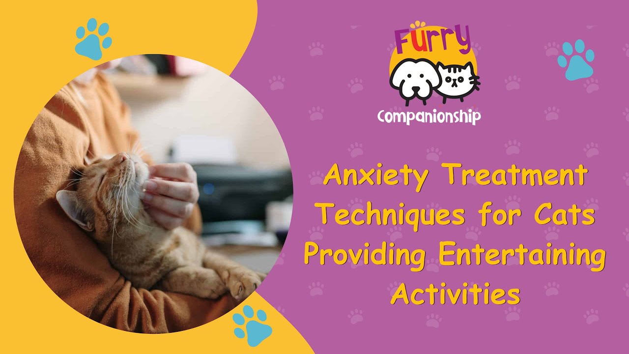 Fresh Look at Anxiety Treatment Techniques For Cats Providing Entertaining