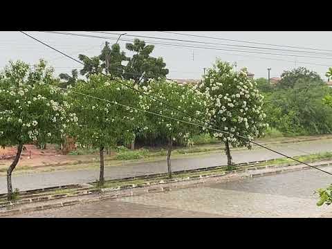 Chuva continua em JAGUARIBARA hoje 30/03/2024 08:00h