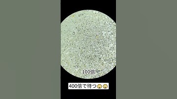 M&Mを400倍に拡大すると本当にすごい！ #microscope #science #sciencemicroscope