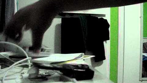 my action replay is not working