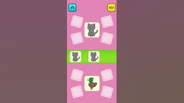 Put the Same Cards Together  Games for Toddlers #kids
