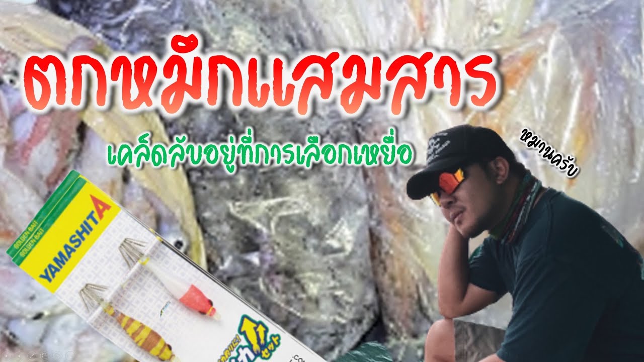 ตกหมึกแสมสาร - Squid Fishing at Samae San Thailand🦑