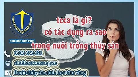 TCCA là gì? công dụng ra sao trong nuôi trồng thủy sản