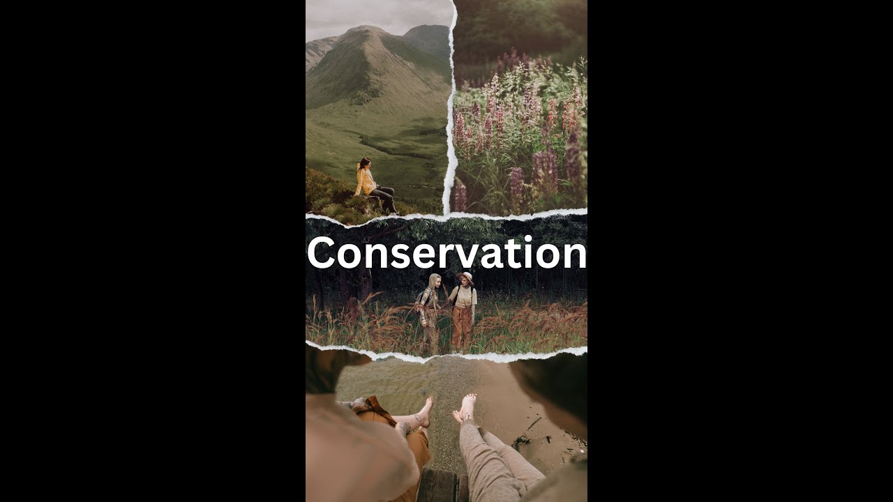 Conservation Biology Lesson For Senior High School 2 YouTube conservation-biology-lesson-for-senior-high-school-2-youtube