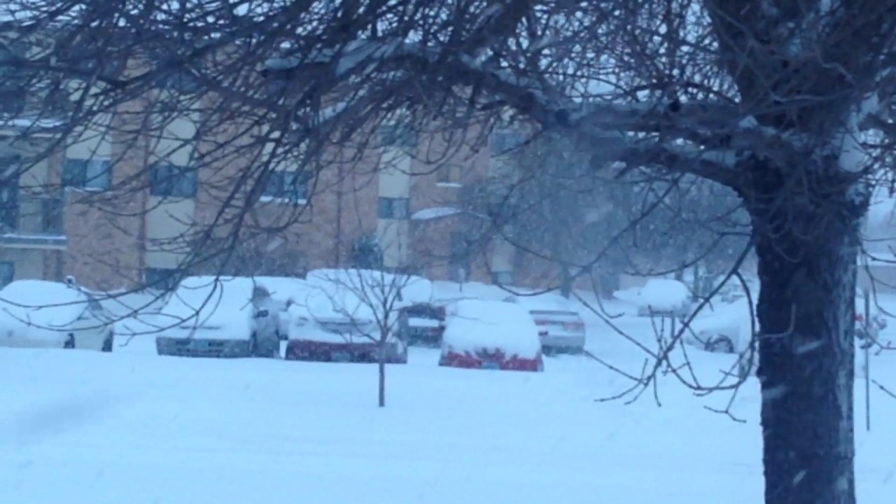 Fargo ND Intense & Blizzard Snowfall 31 Degree, January, USA YouTube