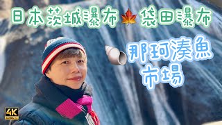 【666】🎞️4K Nakaminato Fish Market 🦁到日本茨城瀑布🍁袋田瀑布🐚那珂湊魚市場
